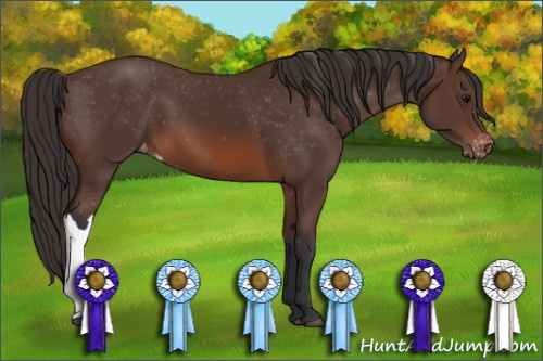 Horse Color: Brown Snowcap 