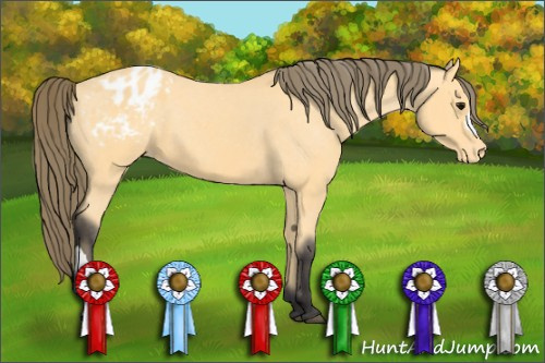 Horse Color: Buckskin Blanket 