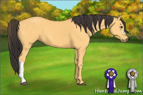 Horse Color: Buckskin 