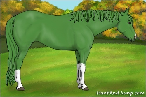 Horse Color: Watercolor Black 
