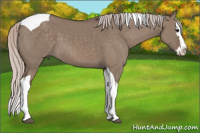 Horse Color:Silver Grullo Splash Tobiano