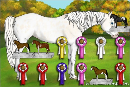 Horse Color: Silver Buckskin Pearl Dun Sabino Splash Blanket 