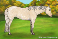 Horse Color:Silver Buckskin Ice Dun 
