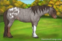 Horse Color:Liver Red Roan Blanket 