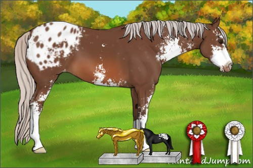 Horse Color: Silver Brown Sabino Blanket 