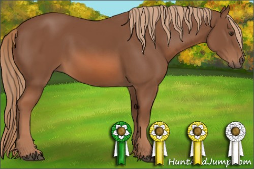 Horse Color: Liver Chestnut 