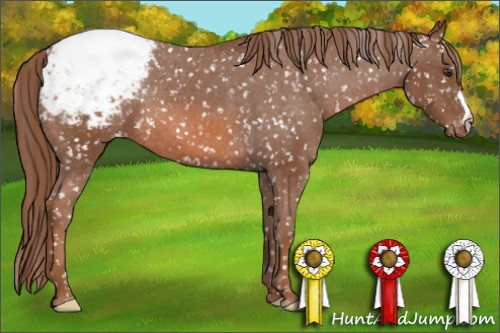 Horse Color: Chestnut Snowcap 