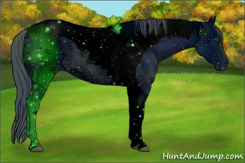 Horse Color: ERROR: UNKNOWN ANOMALY