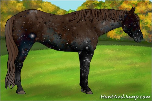Horse Color: ERROR: UNKNOWN ANOMALY