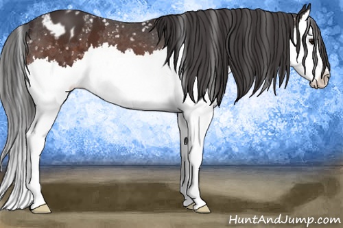 Horse Color: Bay Splash Snowflake Varnish 