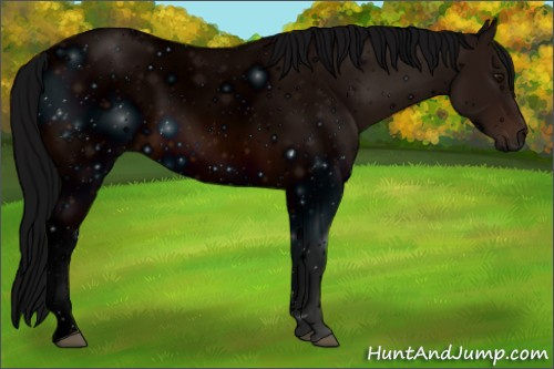 Horse Color: ERROR: UNKNOWN ANOMALY