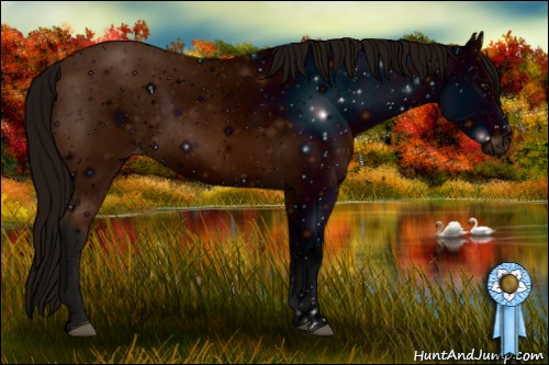 Horse Color: ERROR: UNKNOWN ANOMALY