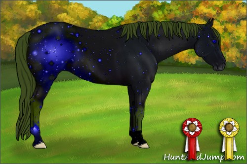 Horse Color: ERROR: UNKNOWN ANOMALY