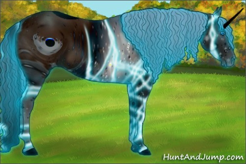 Horse Color: ERROR: UNKNOWN ANOMALY