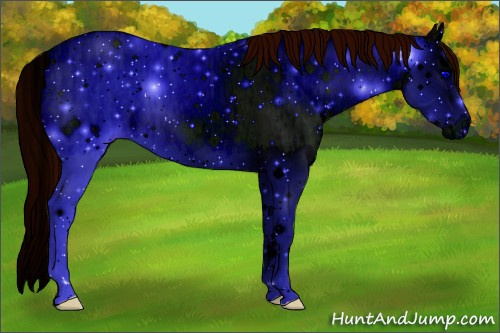 Horse Color: ERROR: UNKNOWN ANOMALY