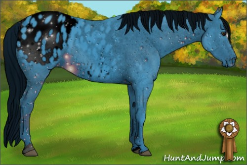 Horse Color: ERROR: UNKNOWN ANOMALY
