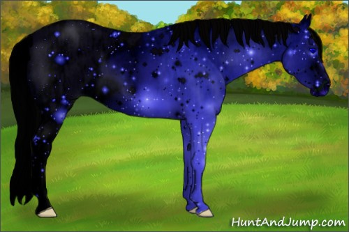 Horse Color: ERROR: UNKNOWN ANOMALY