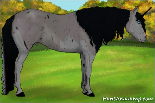 Horse Color: ERROR: UNKNOWN ANOMALY