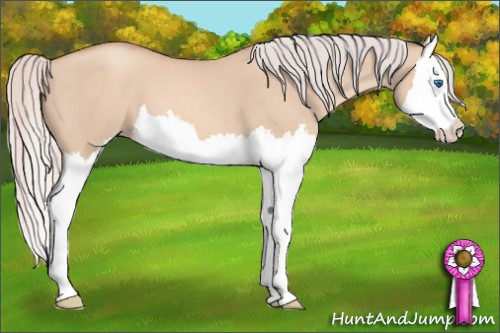 Horse Color: Silver Sable Champagne Dun Splash 