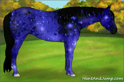 Horse Color: ERROR: UNKNOWN ANOMALY