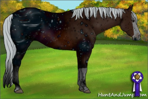 Horse Color: ERROR: UNKNOWN ANOMALY