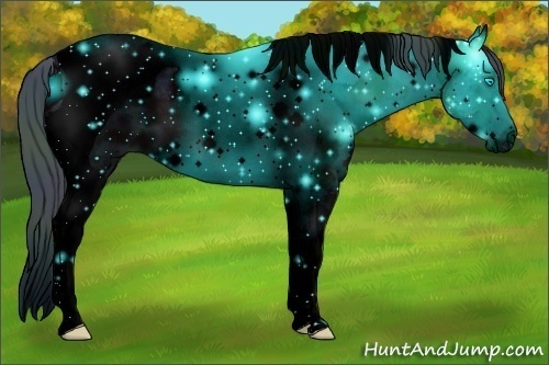 Horse Color: ERROR: UNKNOWN ANOMALY