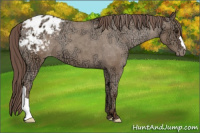 Horse Color:Classic Champagne Ice Blanket 