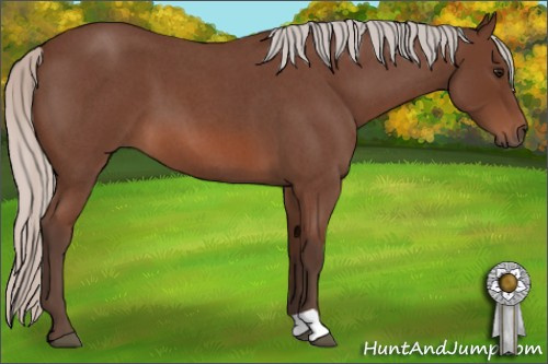 Horse Color: Silver Bay Roan 