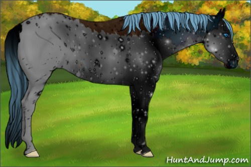 Horse Color: ERROR: UNKNOWN ANOMALY