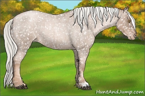Horse Color: Liver Red Roan Pearl Mushroom Snowcap 