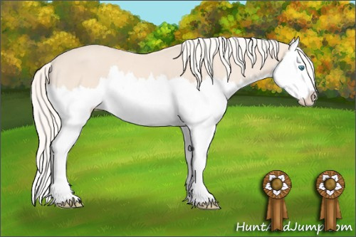 Horse Color: Cremello Splash 