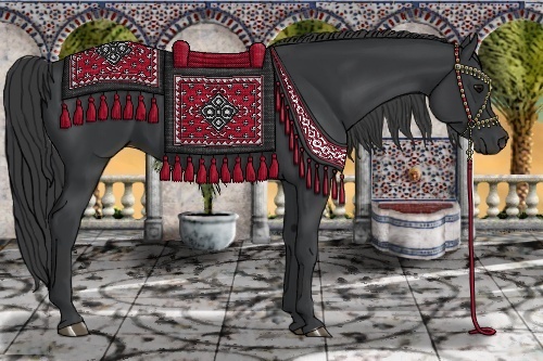 Horse Color: Black 