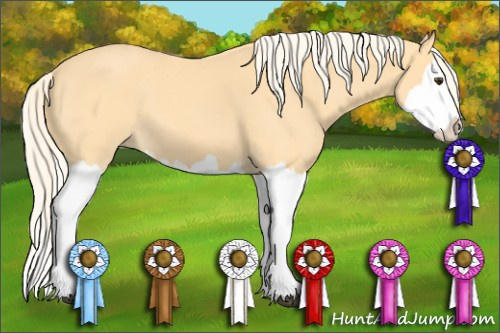 Horse Color: Palomino Roan Splash 