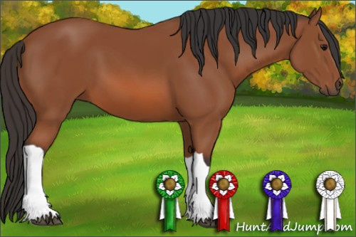 Horse Color: Bay 