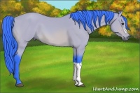 Horse Color:Watercolor Bay 
