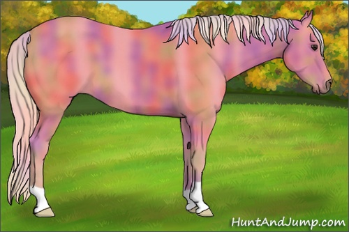 Horse Color: Nacre Watercolor Silver Bay 