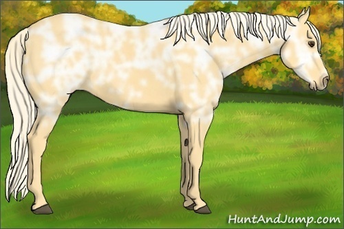 Horse Color: Palomino Ice 