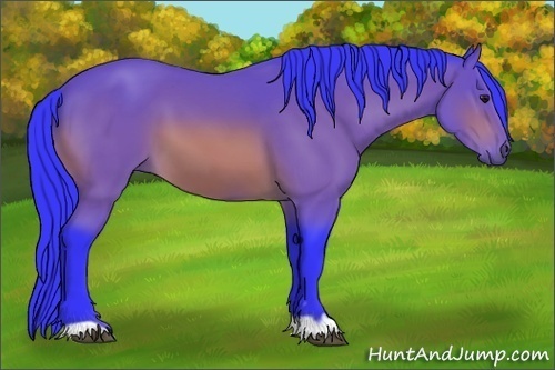 Horse Color: Watercolor Bay 