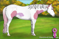 Horse Color:Watercolor Chestnut Splash Tobiano Rabicano 