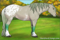 Horse Color:Watercolor White Spotted Buckskin Dun Blanket 