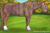 Horse Color:Gray Nacre Chestnut