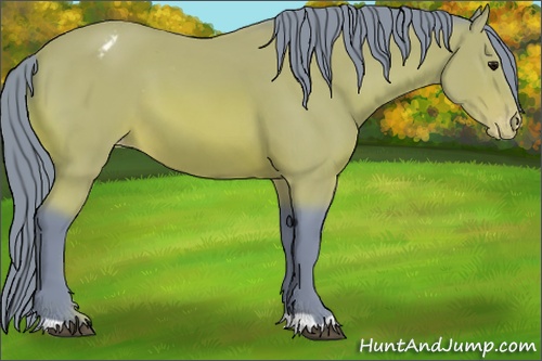 Horse Color: Watercolor Bay Varnish 