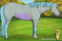 Horse Color:Watercolor Bay 