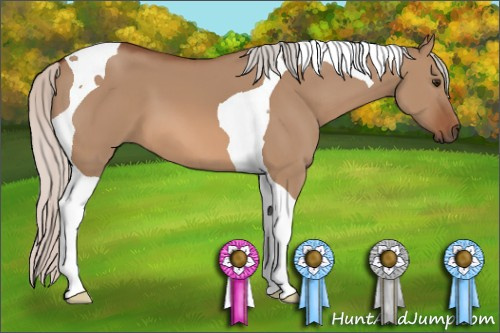 Horse Color: Silver Bay Dun Tobiano 