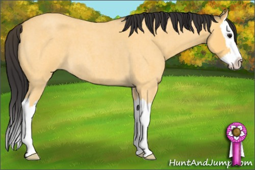Horse Color: Buckskin Roan Splash 