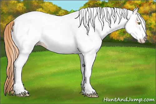 Horse Color: White Spotted Gold Champagne Ice Blanket 
