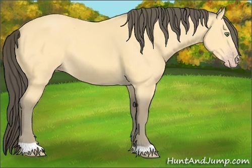 Horse Color: Amber Cream Champagne 