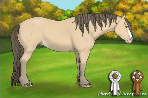 Horse Color: Amber Cream Champagne 