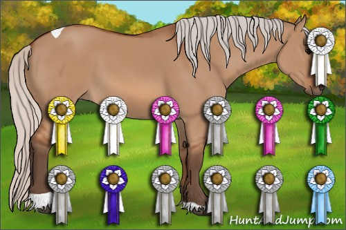 Horse Color: Silver Bay Dun Tobiano 