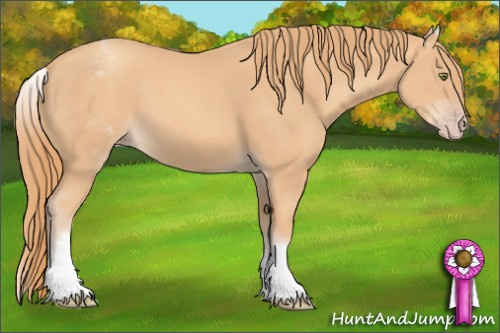 Horse Color: White Spotted Gold Champagne 